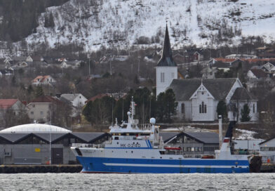 Russisk fisk via Sortland
