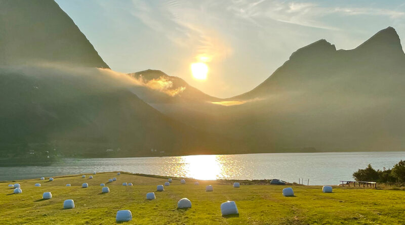 Fint sommervær i juli