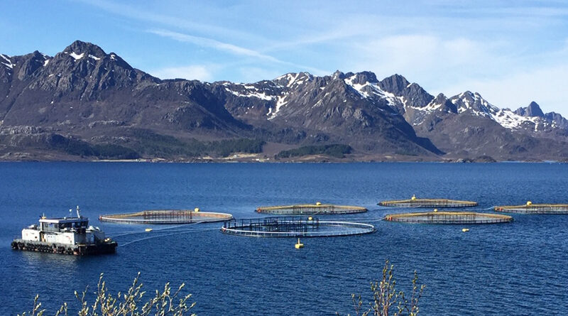 41 millioner fra havbruk