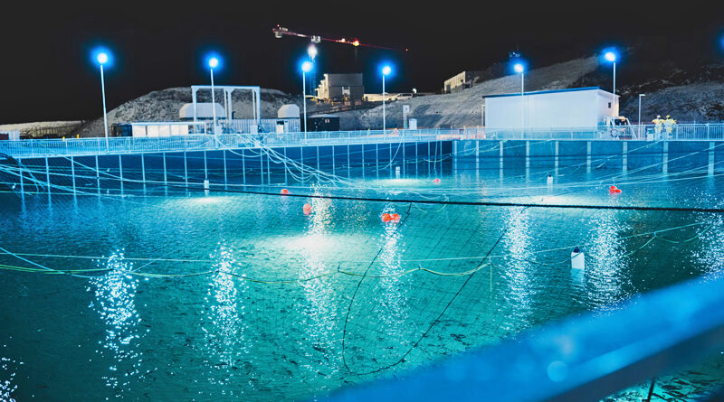 Vellykket utsett av smålaks