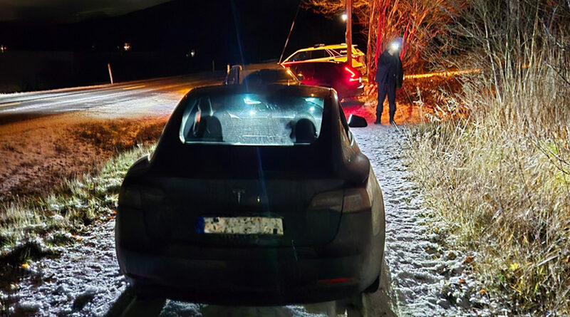 Store beslag av narkotika