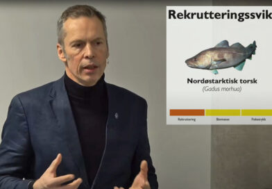 Mindre fisk i havet nå