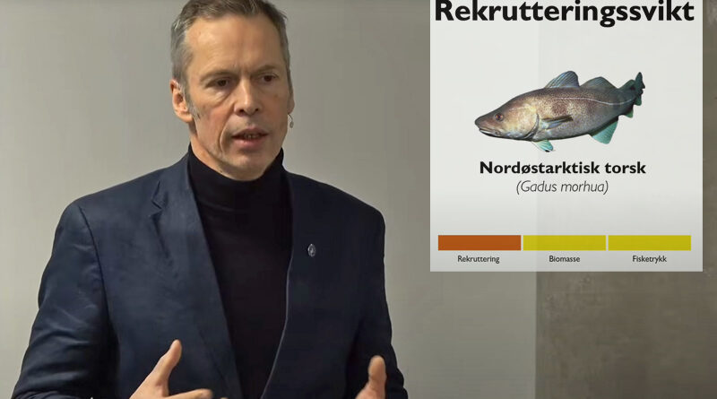 Mindre fisk i havet nå