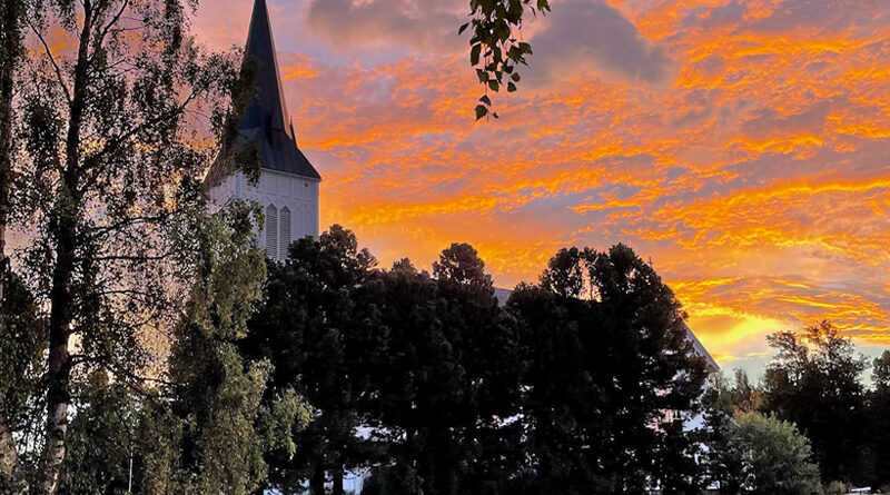 Vil kutte trær ved kirka