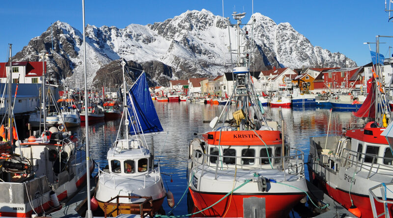 Nå har skreien nådd Lofoten