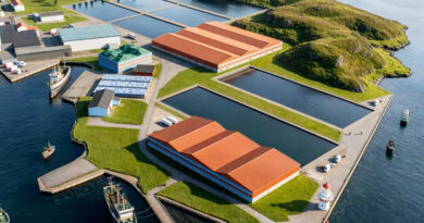 Vil oppdrette torsk i Bø
