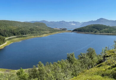 Bør koke drikkevann