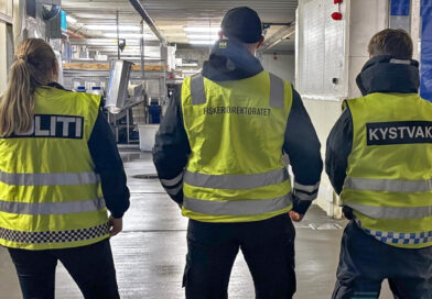 30 personer ble pågrepet